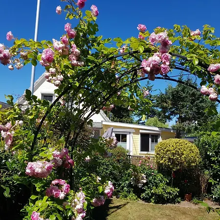 Ferienhaus-sonnenrose-loffhagen-garten-apartment *